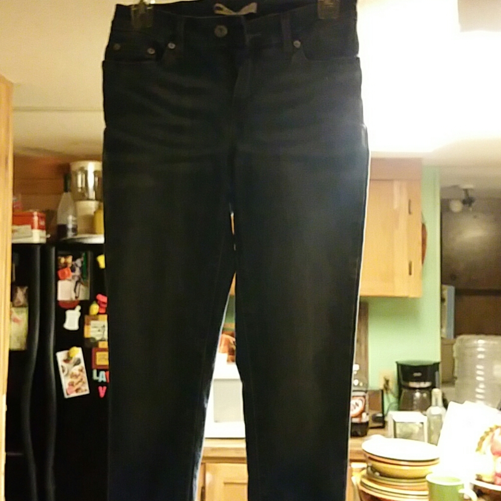 Pant